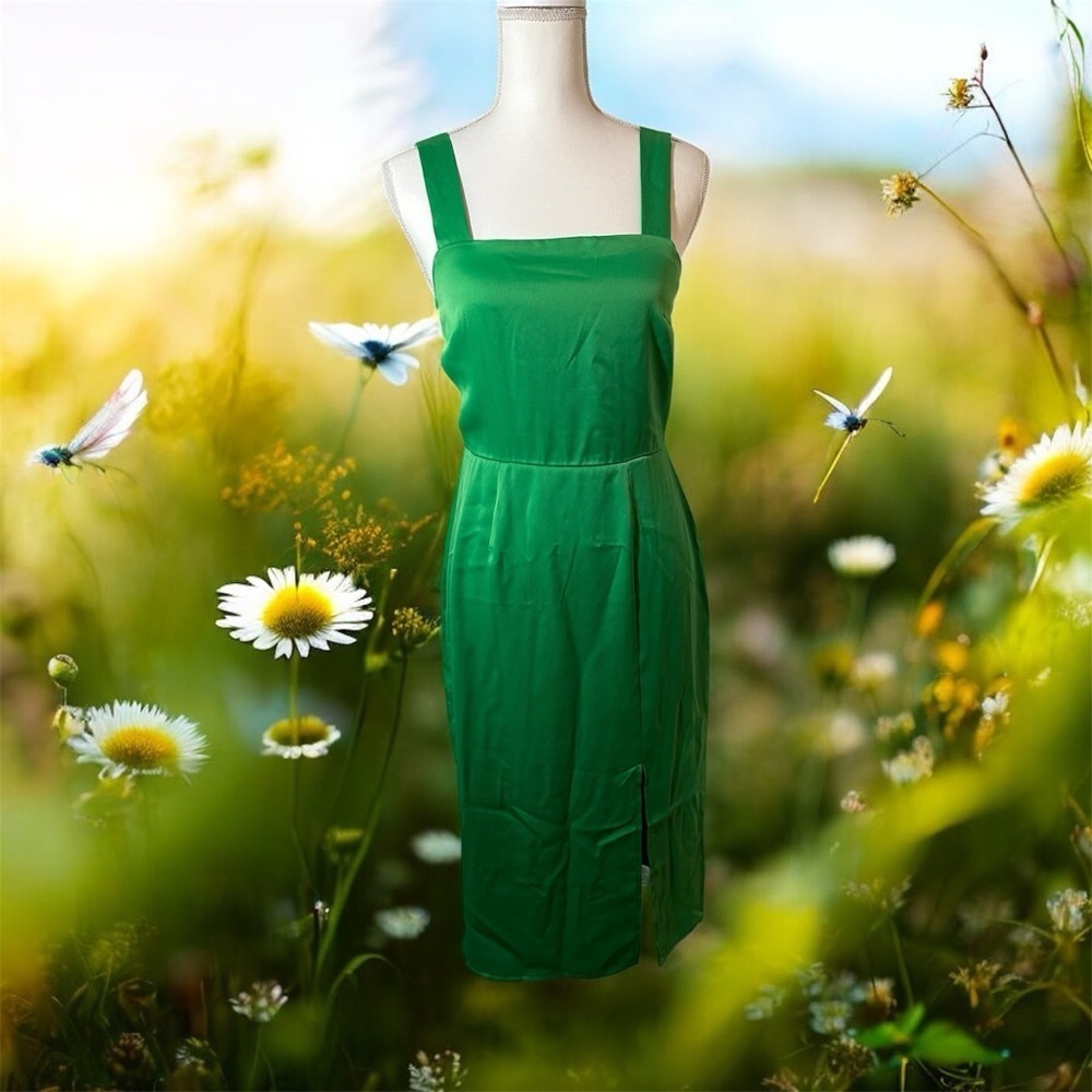 NWT Francesca’s x Blue Rain Midi Dress. Retail $69.00